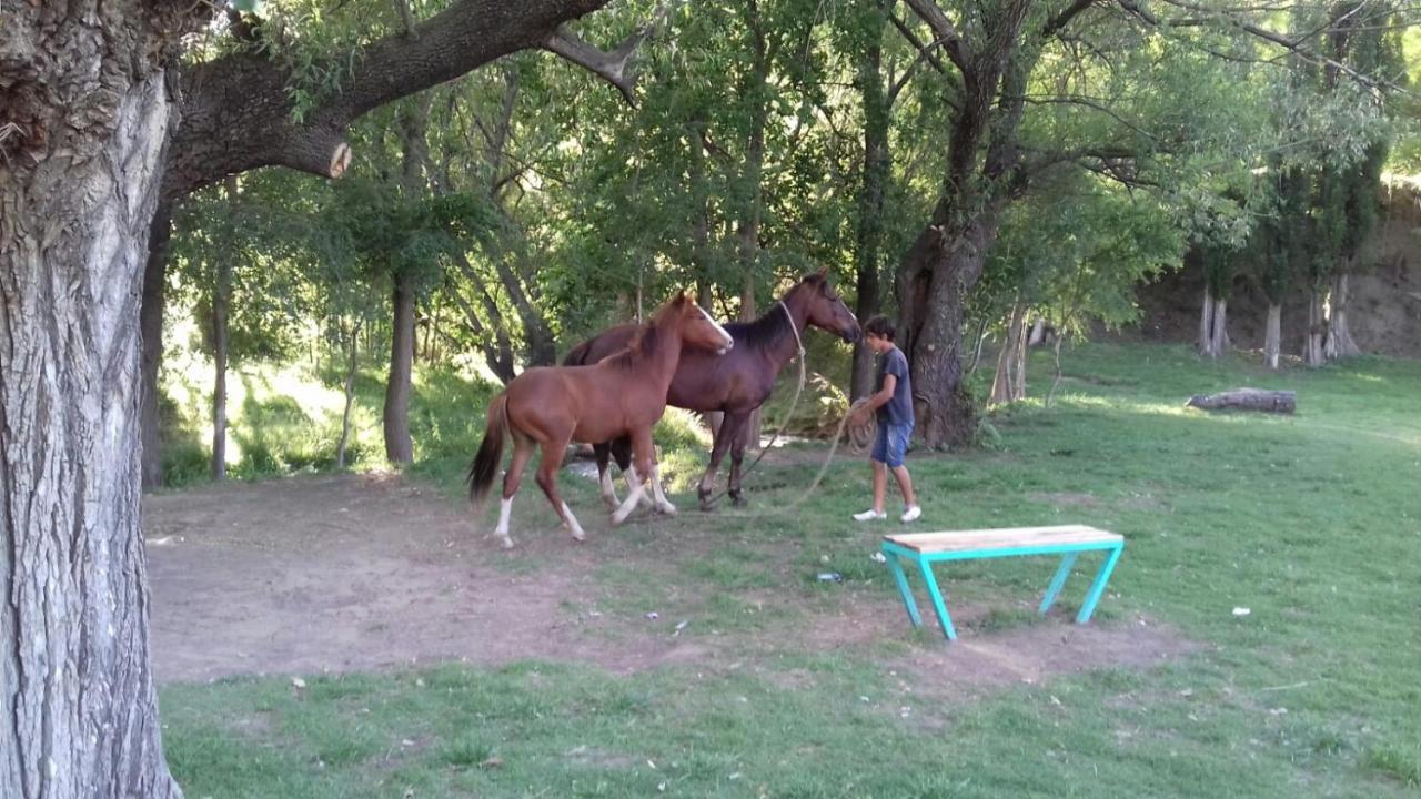 El Mirador *
